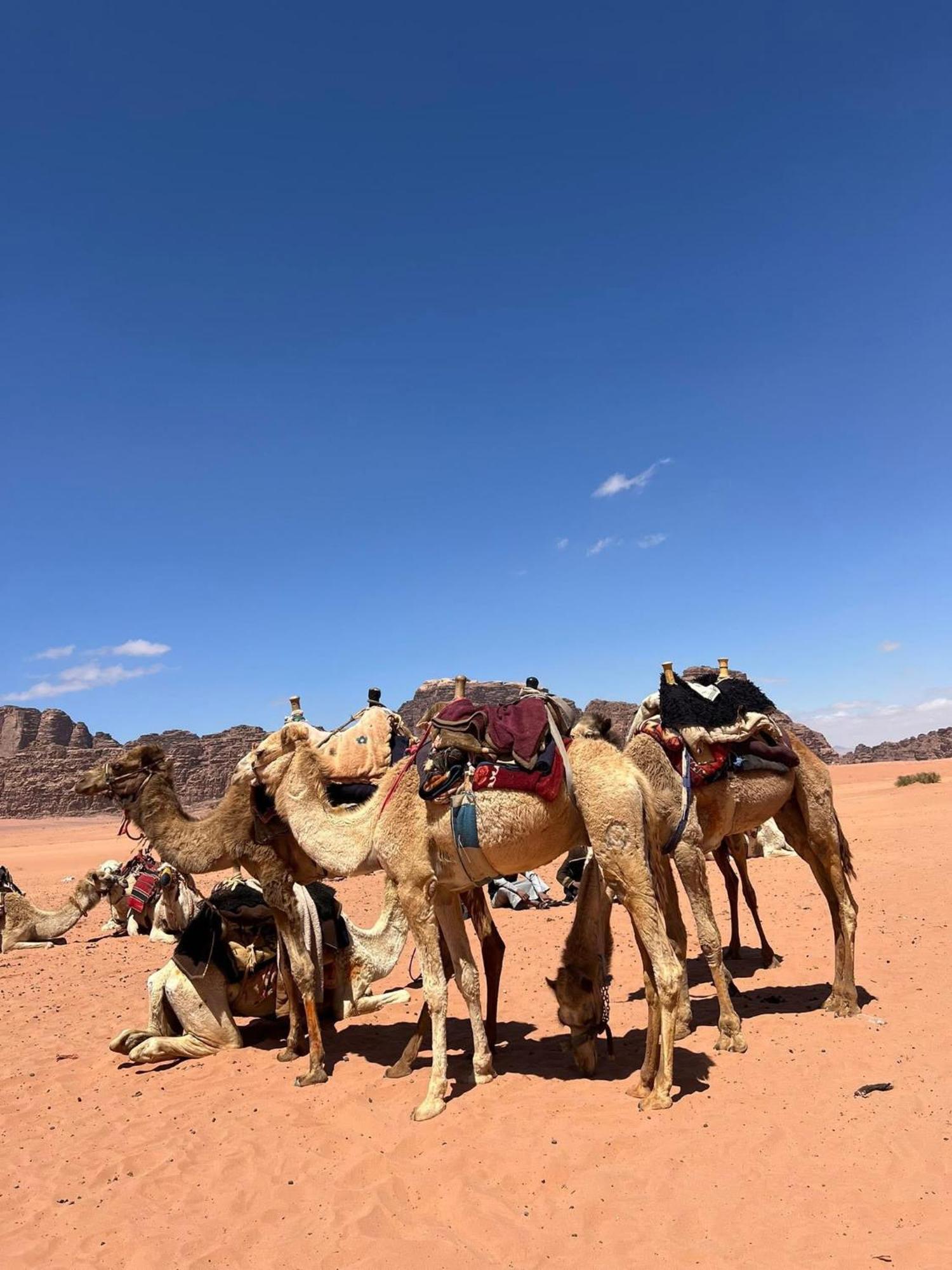 Landscape Rum Camp Hotel Wadi Rum Buitenkant foto